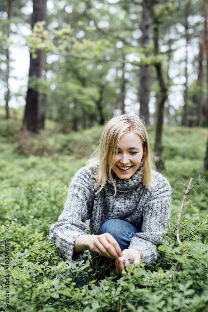 Smiling young woman harvesting blueberries in forest Smiling young woman harvesting blueberries in forest
