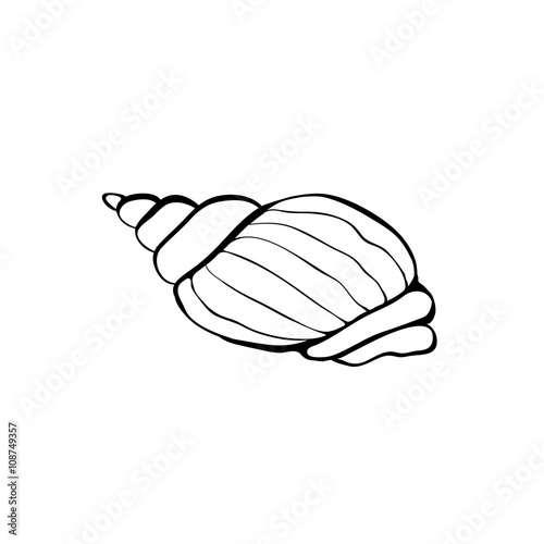 Sea shell icon