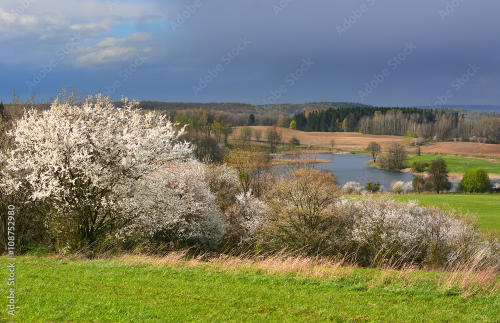 Colorful spring landscape with small lake