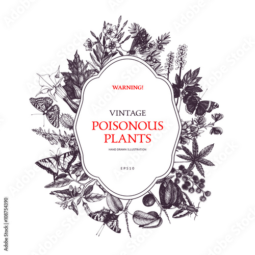 Vector design with hand drawn butterflies and poisonous plants. Vintage noxious plants sketch background. Dangerous flowers retro template isolated on white. photo