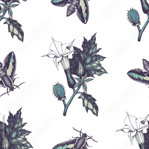 Botanical illustration of Thorn apple (Angel's trumpet). Hand drawn sketch of poisonous plant - Datura stramonium. Dangerous beautiful flowers.