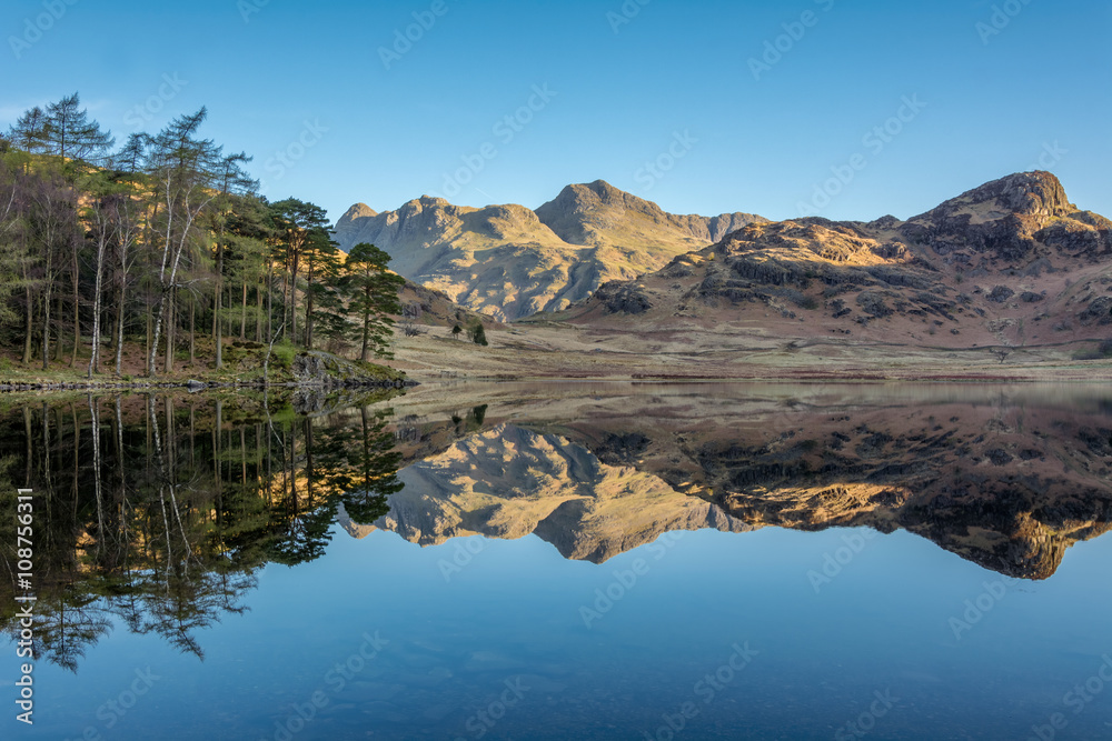 Perfect clear reflections in lake of the Langdale Pikes at Blea Tarn in the English Lake District with clear blue sky on a sunny morning.