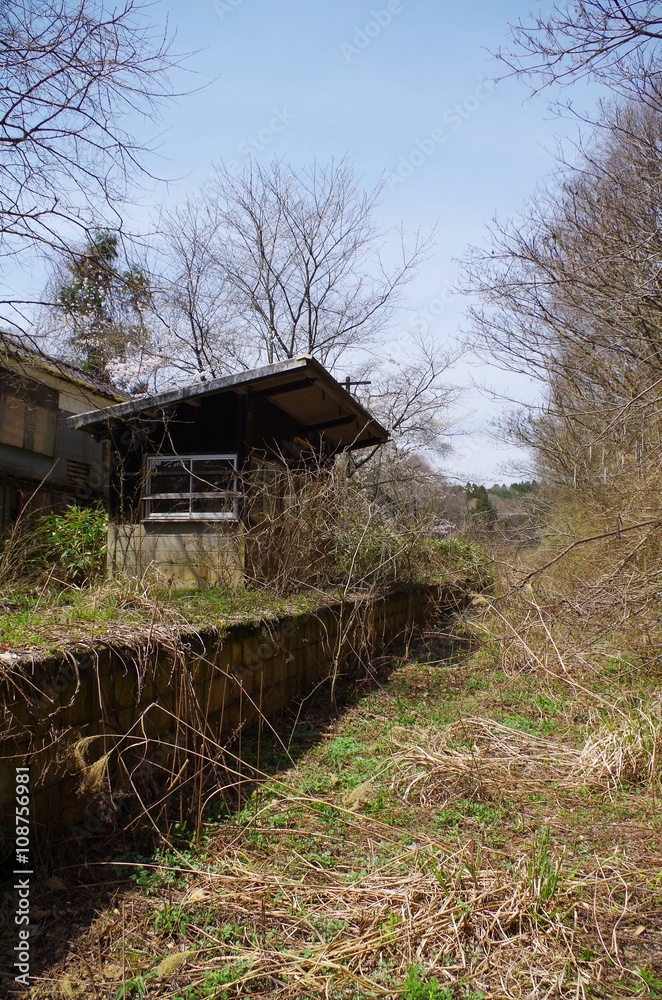 Obraz premium 枯れ草と廃駅