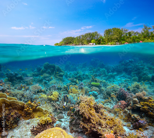  tropical beach on island Meno Indonesia under and above water.