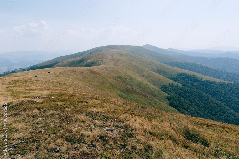 Naklejka premium autumn mountains, hills
