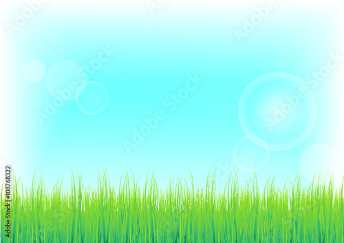 Green Grass and blue sky background