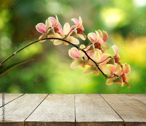 Fototapeta Naklejka Na Ścianę i Meble -  image of wooden table in front of orchid flower background