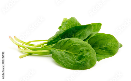 Spinach on a white background