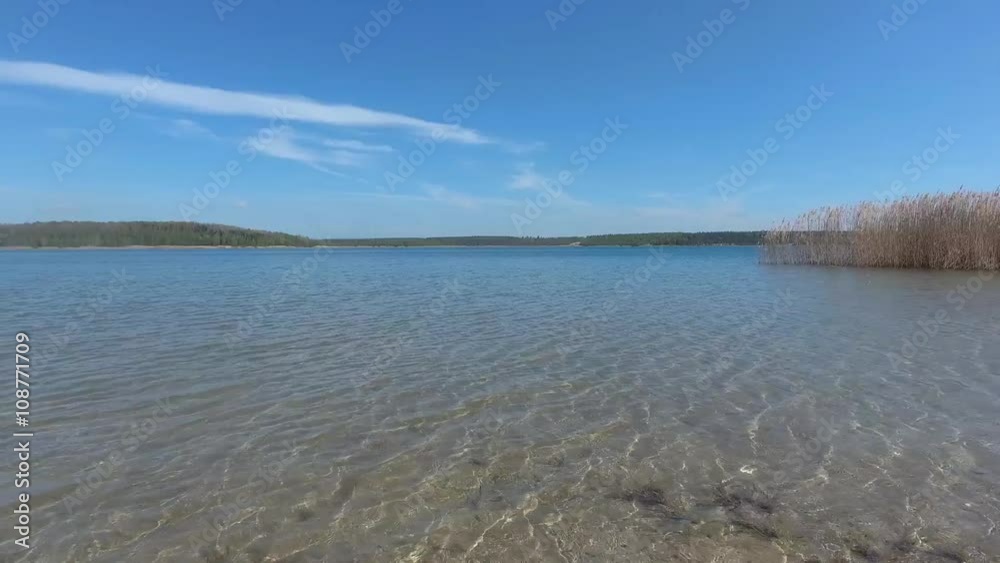 Beautiful lake with reeds on summer day Beautiful lake with reeds on summer day