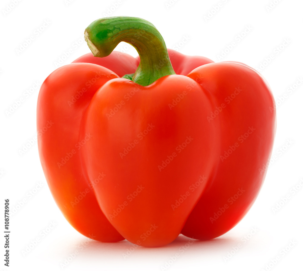 Single red paprika