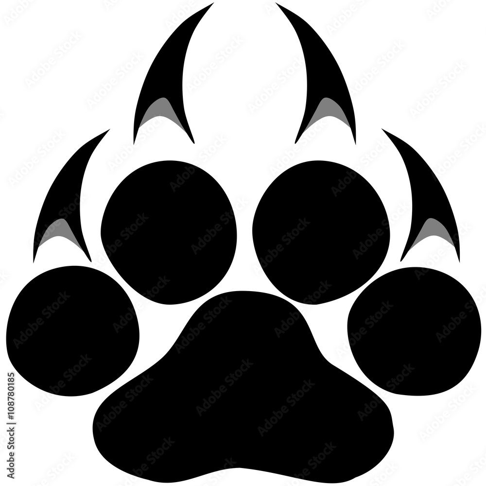 Obraz premium Footprints of a big cat. Panther or tiger traces. Vector ESP10