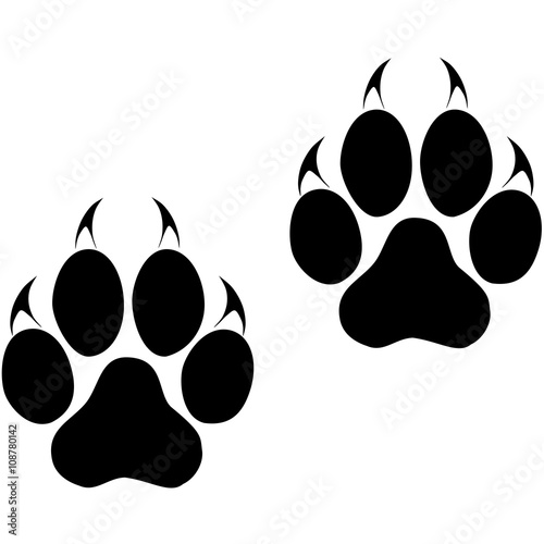 Footprints of a big cat. Panther or tiger traces. Vector ESP10