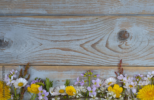 Fototapeta Naklejka Na Ścianę i Meble -  Bunch of fieldflowers,daisies, buttercups, Pentecostal flowers, dandelions  in a border row on a old blue gray spring summer wooden background with empty copy space
