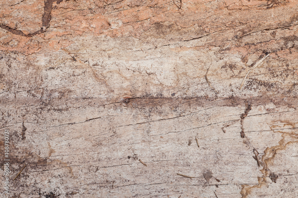 Old wood cracked and dust background texture. Old wood cracked and dust background texture.