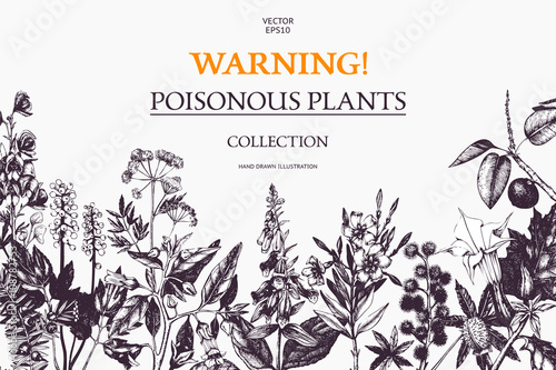 Vector design with hand drawn poisonous plants. Botanical illustration. Vintage noxious plants sketch background. Dangerous flowers retro template isolated on white.
