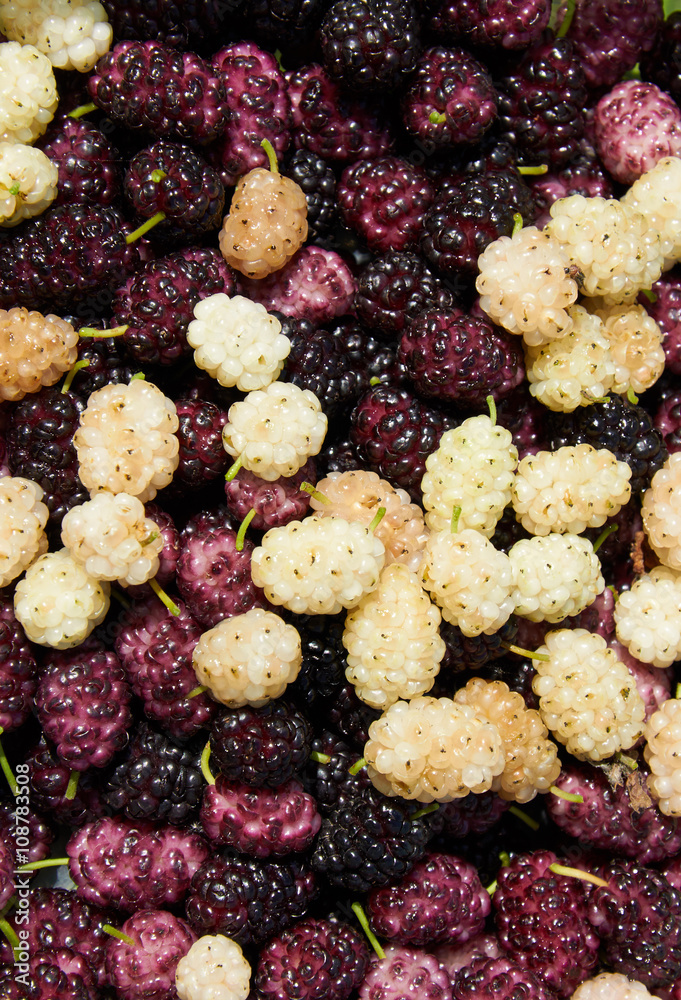 background made with mulberry heap background made with mulberry heap