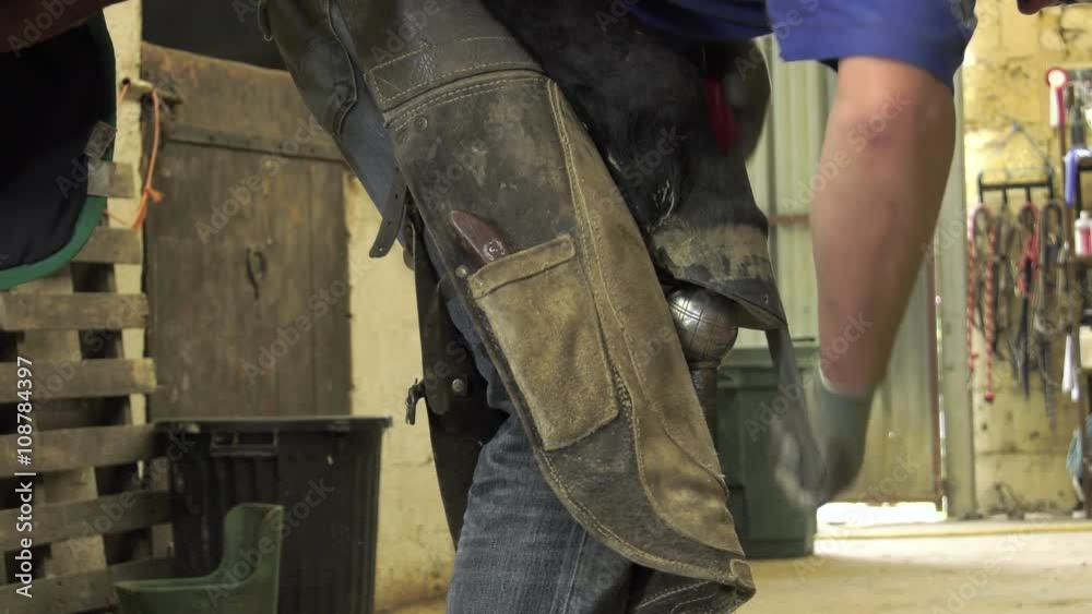 he farrier cut the horse's hoof surplus he farrier cut the horse's hoof surplus