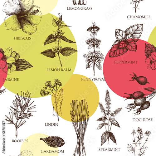 Botanical background with  hand drawn herbal tea ingredients. Decorative seamless pattern vintage medicinal herbs and spice sketch isolated on white.