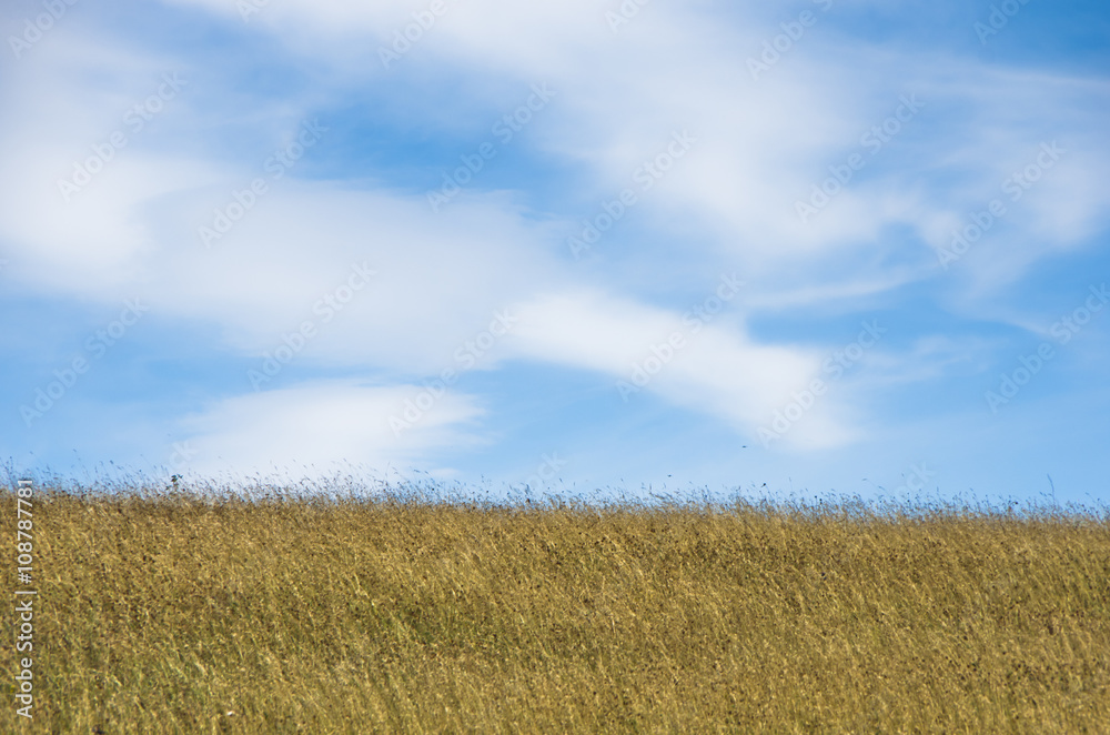 Blue sky above hill covered with dry prairie grass in Pester plateau, northwest Serbia