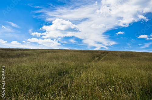Blue sky above hill covered with dry prairie grass in Pester plateau  northwest Serbia