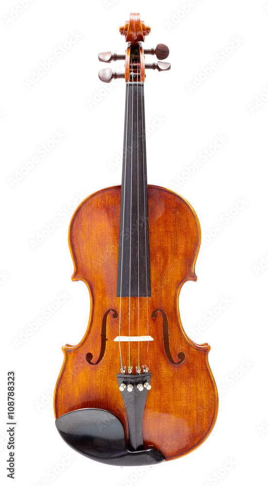 Fototapeta premium Front view of a violin