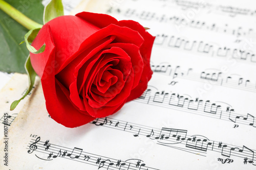 Red rose on musical sheet