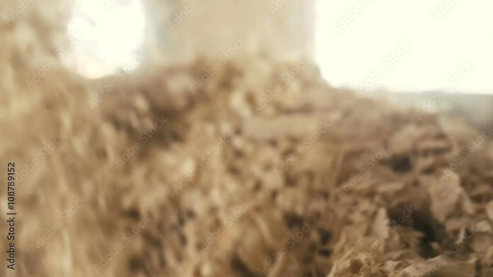 Sawdust in detail shot