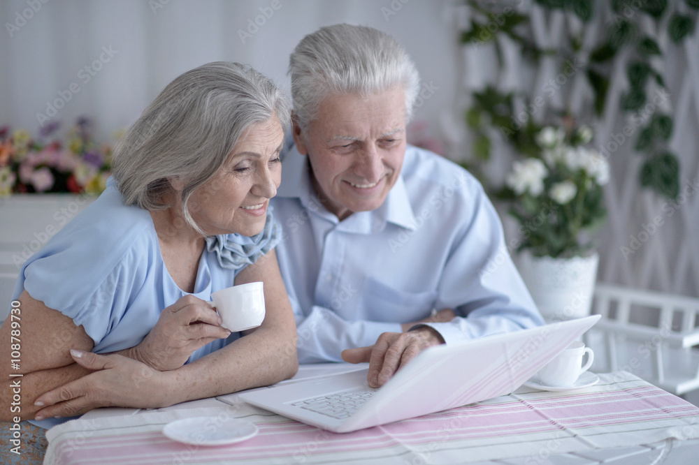 happy senior couple with laptop happy senior couple with laptop