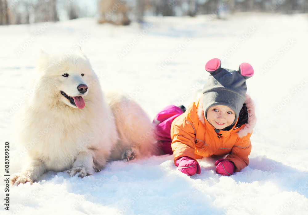 Child with white Samoyed dog lying on snow in winter day Child with white Samoyed dog lying on snow in winter day