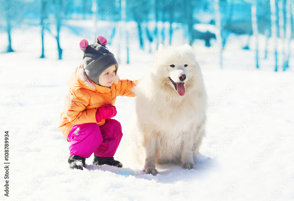 Child with white Samoyed dog on snow in winter day Child with white Samoyed dog on snow in winter day