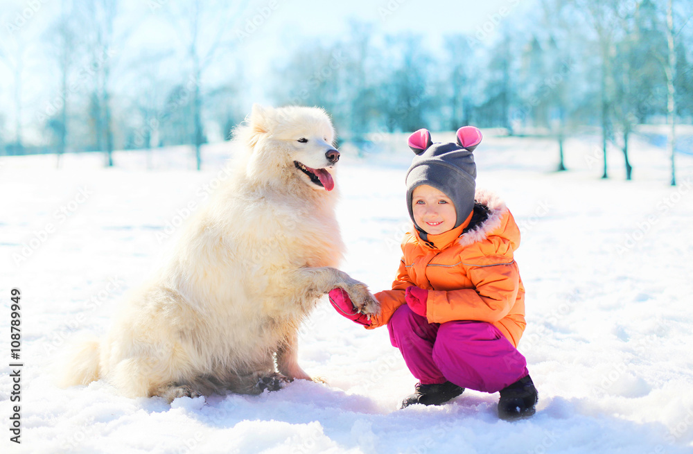 Happy child with white Samoyed dog on snow in winter park Happy child with white Samoyed dog on snow in winter park