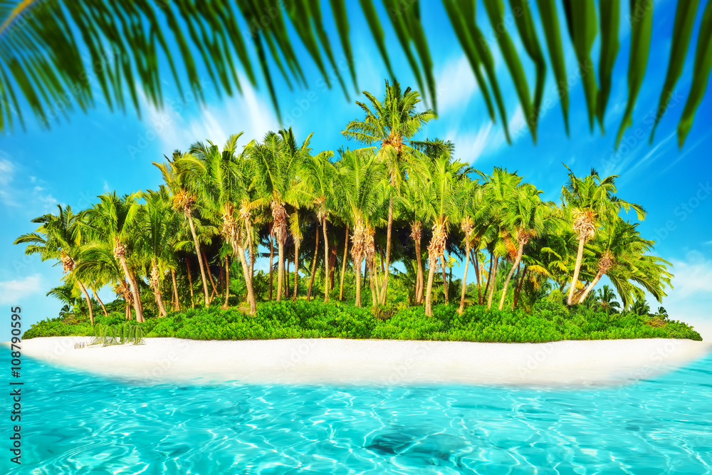 Obraz premium Whole tropical island within atoll in tropical Ocean. Uninhabite