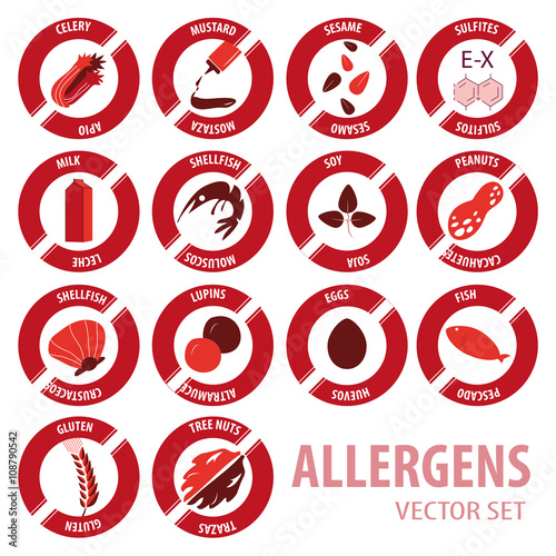 Food allergens vector set