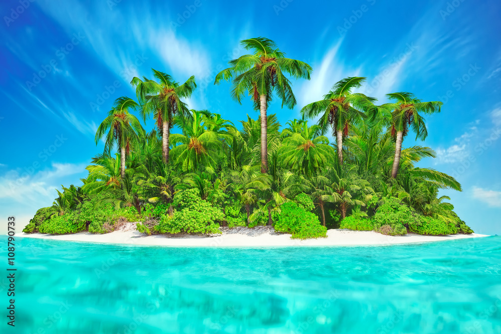 Naklejka premium Whole tropical island within atoll in tropical Ocean. Uninhabite