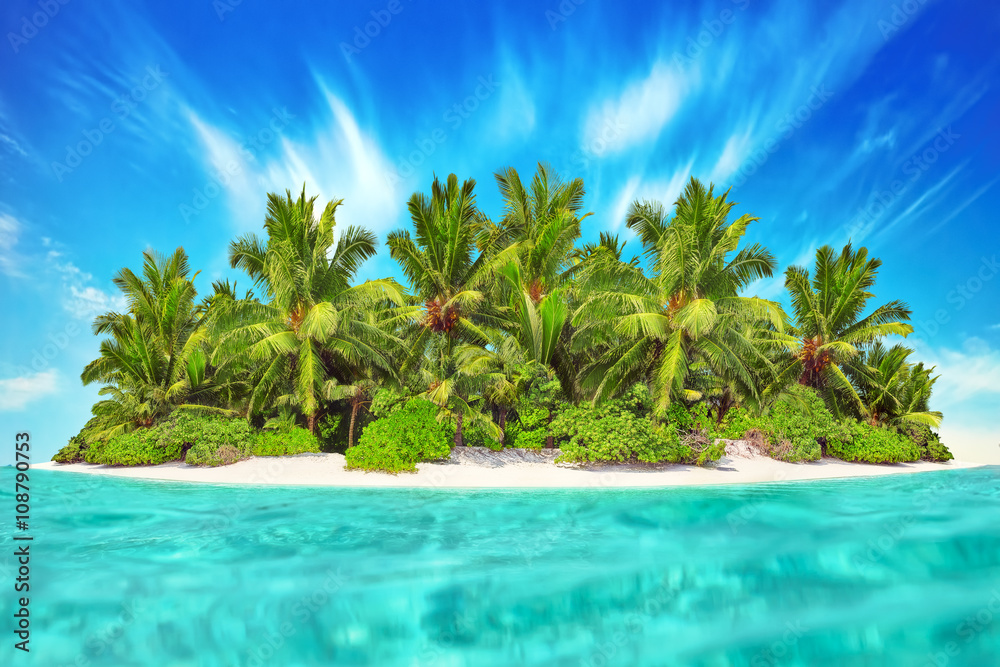 Obraz premium Whole tropical island within atoll in tropical Ocean. Uninhabite