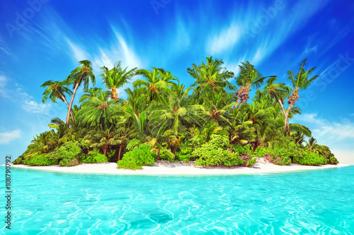 Принти на полотні Whole tropical island within atoll in tropical Ocean. Uninhabite