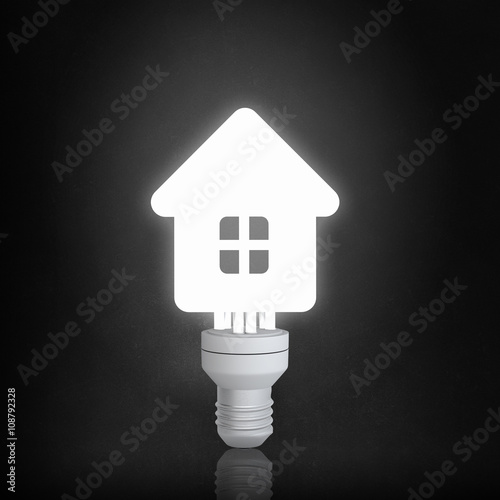 House bulb in darkness