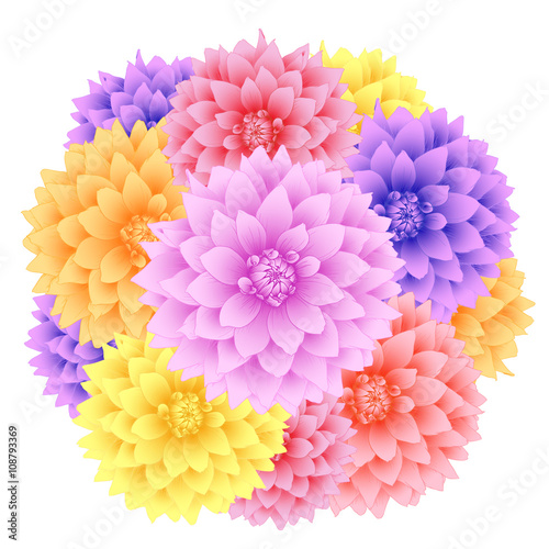 Fototapeta Naklejka Na Ścianę i Meble -  Vector dahlia flowers.