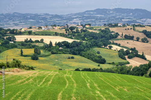 Country landscape in Marches  Italy 