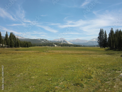 Tioga Road