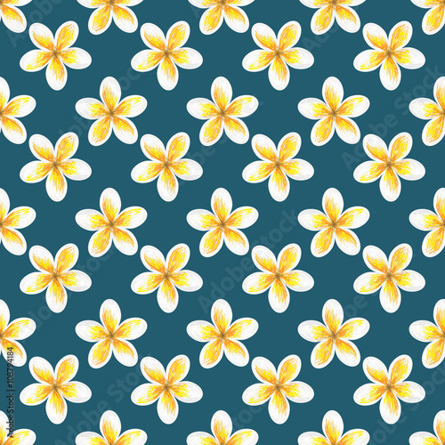 Seamless summer pattern with frangipani plumeria tropical flowers vector background. Perfect for wallpapers  pattern fills  web page backgrounds  surface textures  textile