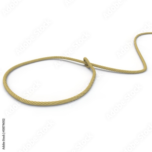 A rope with a noose lying on the floor