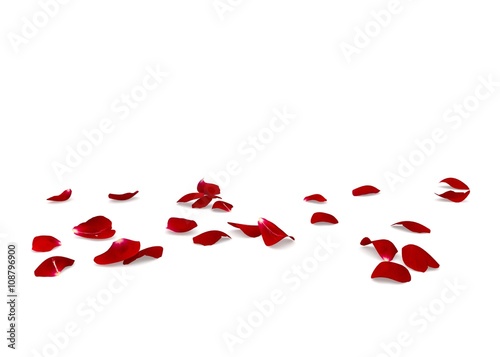 Red rose petals scattered on the floor
