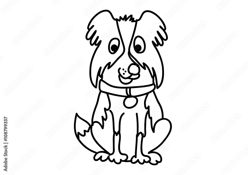 Fototapeta premium pies, Border Collie