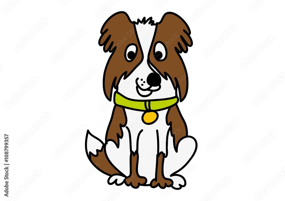 Fototapeta premium pies, Border Collie