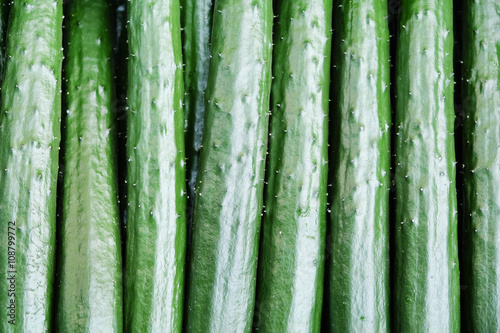 Close up image of Japanese cucumber,suhyo