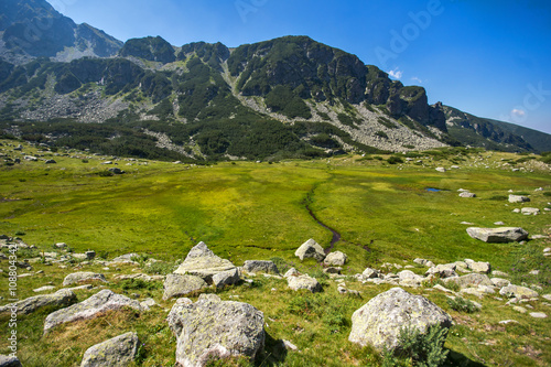 Landscape of Green forest in Pirin Mountain , Bulgaria © Stoyan Haytov