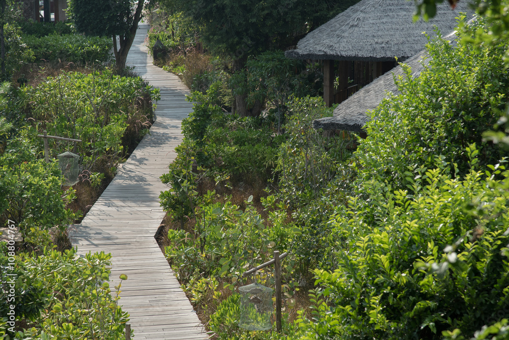 wooden walkway in mangrove forest wooden walkway in mangrove forest