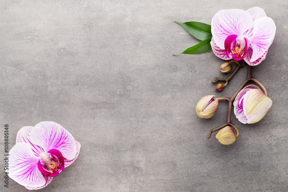 Spa orchid theme objects on grey background.