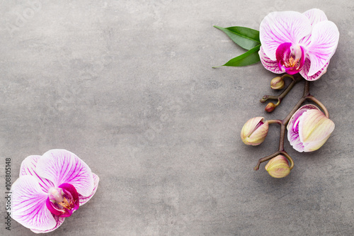 Fototapeta Naklejka Na Ścianę i Meble -  Spa orchid theme objects on grey background.